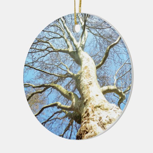 Big Sunny Tree Branches in Heavenly Blue Sky Keramisch Ornament (Links)