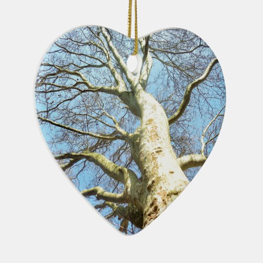 Big Sunny Tree Branches in Heavenly Blue Sky Keramisch Ornament (Rechts)