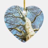 Big Sunny Tree Branches in Heavenly Blue Sky Keramisch Ornament (Voorkant)