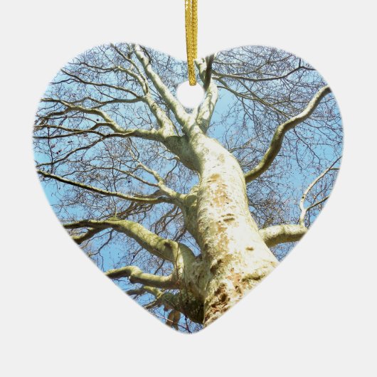 Big Sunny Tree Branches in Heavenly Blue Sky Keramisch Ornament (Voorkant)