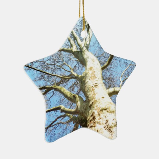 Big Sunny Tree Branches in Heavenly Blue Sky Keramisch Ornament (Rechts)