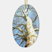 Big Sunny Tree Branches in Heavenly Blue Sky Keramisch Ornament (Links)