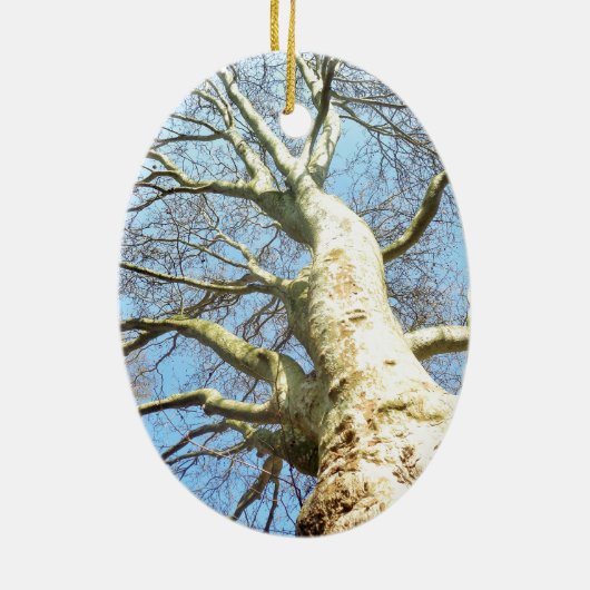 Big Sunny Tree Branches in Heavenly Blue Sky Keramisch Ornament (Achterkant)