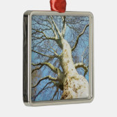 Big Sunny Tree Branches in Heavenly Blue Sky Metalen Ornament (Rechts)