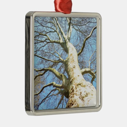 Big Sunny Tree Branches in Heavenly Blue Sky Metalen Ornament (Rechts)