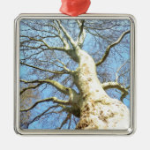 Big Sunny Tree Branches in Heavenly Blue Sky Metalen Ornament (Voorkant)
