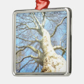 Big Sunny Tree Branches in Heavenly Blue Sky Metalen Ornament (Links)