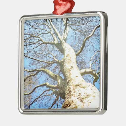 Big Sunny Tree Branches in Heavenly Blue Sky Metalen Ornament (Links)