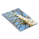 Big Sunny Tree Branches in Heavenly Blue Sky Notitieboek (Rechterzijde)