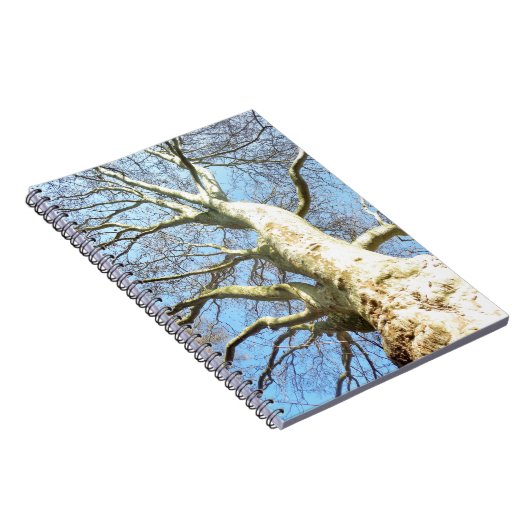 Big Sunny Tree Branches in Heavenly Blue Sky Notitieboek (Rechterzijde)