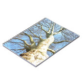 Big Sunny Tree Branches in Heavenly Blue Sky Notitieboek (Linkerzijde)