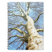Big Sunny Tree Branches in Heavenly Blue Sky Notitieboek (Voorkant)