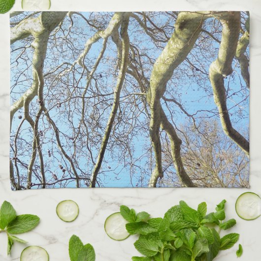 Big Sunny Tree Branches in Heavenly Blue Sky Theedoek (Gevouwen)