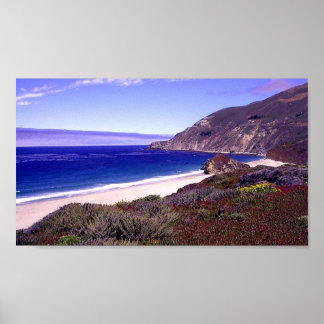 Big Sur Beach Poster