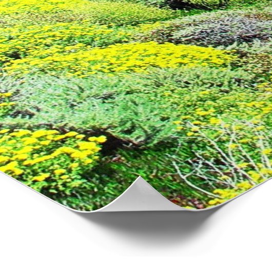 Big Sur Bixby Bridge Print (Hoek)