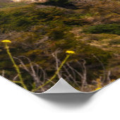 Big Sur Californische kust Poster (Hoek)
