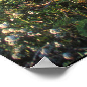 Big Sur Coast Vista Poster (Hoek)