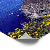 Big Sur Coastline Poster (Hoek)
