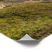 Big Sur kustlijn | Californië Poster (Hoek)