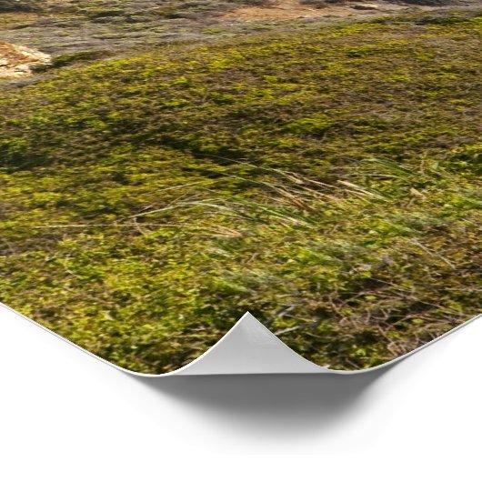 Big Sur kustlijn | Californië Poster (Hoek)