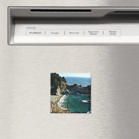 Big Sur Magneet (Insitu (Vaatwasser))