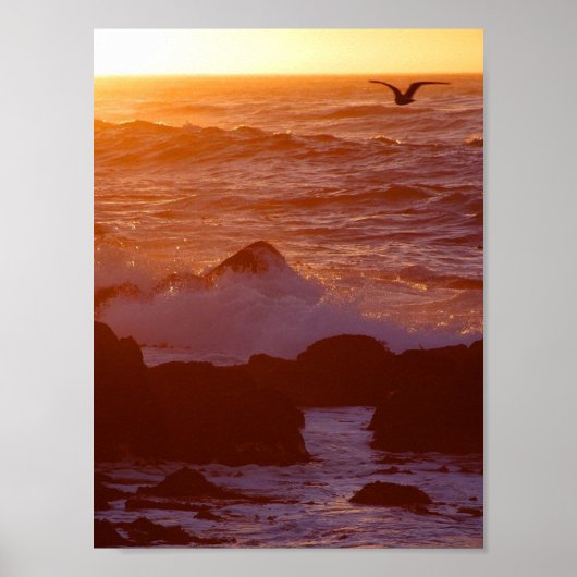 Big Sur Poster (Voorkant)