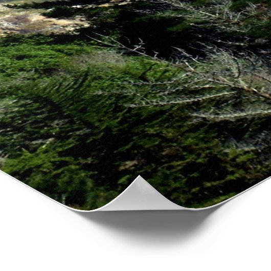 Big Sur poster (Hoek)