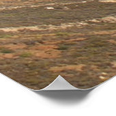 Big Sur Rocky Beach Poster (Hoek)