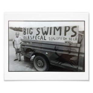 Big Swimps print... Foto Afdruk