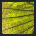 Big Taro Leaf Bandana<br><div class="desc">mooi tarronblad met achtergrondverlichting</div>