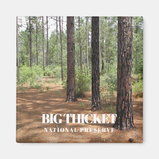 Big Thicket National Preserve, Pine Forest, Texas Magneet (Voorkant)
