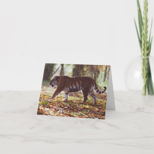 Big Tiger Birthday Wenskaart Kaart (Voorkant)