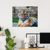 Big Tiger Cub Poster (Thuiskantoor)