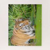 Big Tiger zwemt met groene olie Legpuzzel (Verticaal)