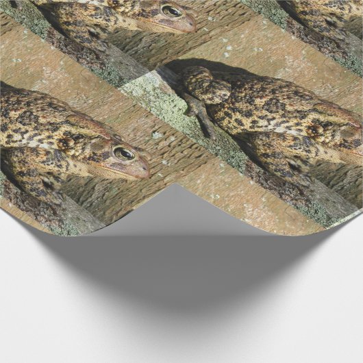 Big Toad Cadeaupapier (Hoek)