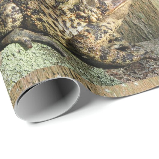 Big Toad Cadeaupapier (Rol Hoek)