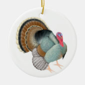 Big Tom Turkey Ornament (Voorkant)