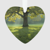 Big Tree Forest Dated Photo Custom Ornament (voorkant)