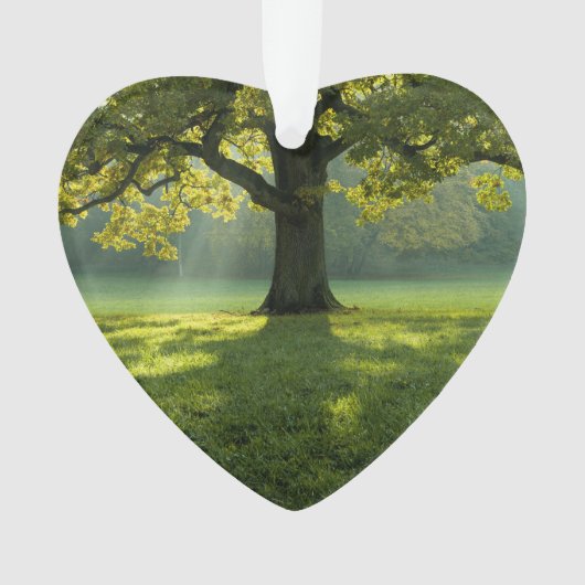 Big Tree Forest Dated Photo Custom Ornament (voorkant)