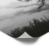 Big Tree, Glacier Ridge Metropark, Dublin, Ohio Poster (Hoek)