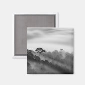 Big Tree in Pine Forest in the Mist Magneet (Voorkant / Achterkant)