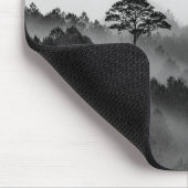 Big Tree in Pine Forest in the Mist Muismat (Hoek)