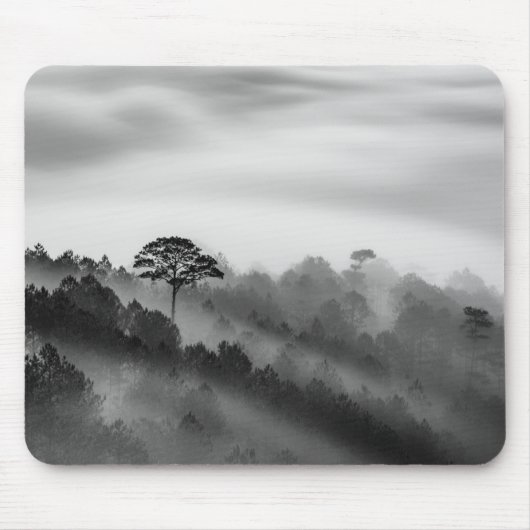 Big Tree in Pine Forest in the Mist Muismat (Voorkant)