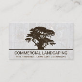 Big Tree Logo | Witte Rots Achtergrond Visitekaartje (Voorkant)