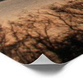 Big Tree-Poster Poster (Hoek)