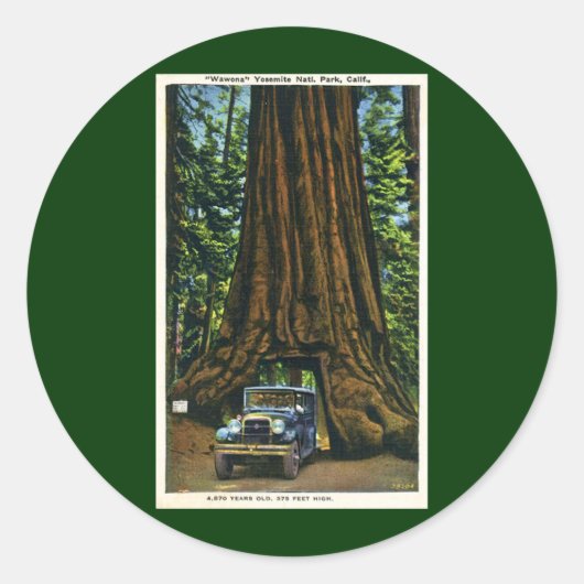 Big Tree Wawona, Mariposa Grove, CA Ronde Sticker (Voorkant)