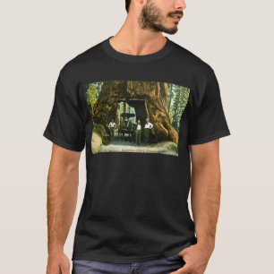 Big Tree Wawona, Mariposa Grove, CA  T-shirt