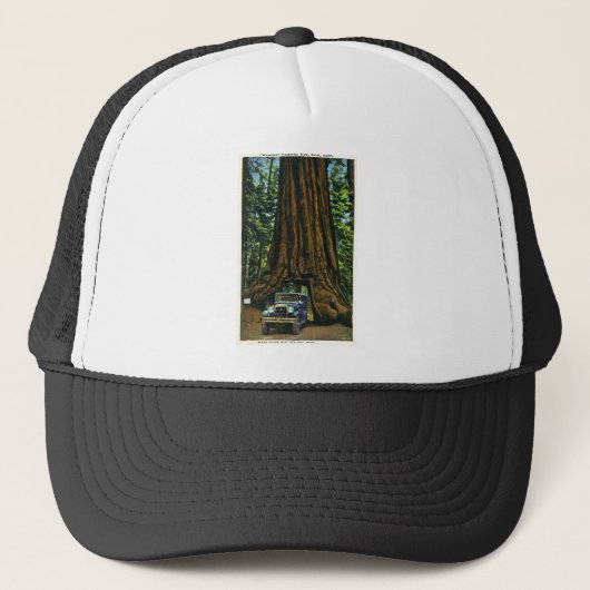 Big Tree Wawona, Mariposa Grove, CA Trucker Pet (Voorkant)