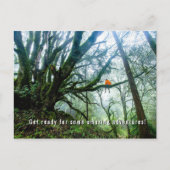 Big Trees Amazing Adventure Teacher Note Briefkaar Feestdagenkaart (Voorkant)