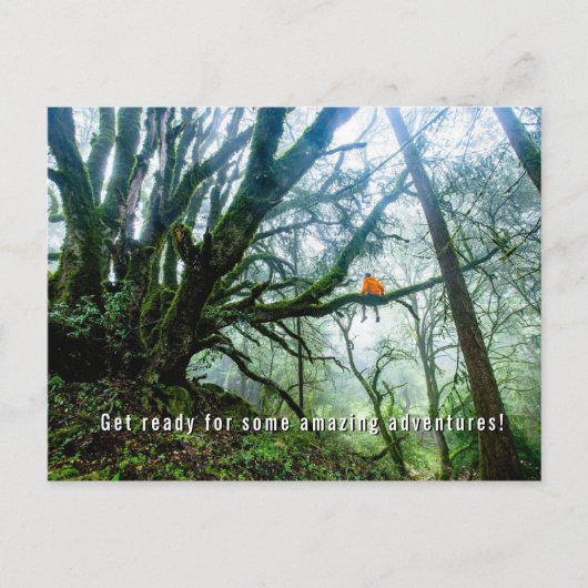 Big Trees Amazing Adventure Teacher Note Briefkaar Feestdagenkaart (Voorkant)